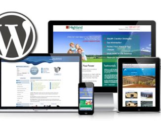 jasa pembuatan landing page wordpress