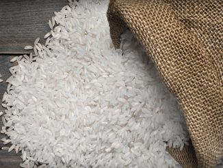 kandungan gizi beras organik