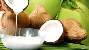 keuntungan usaha santan kelapa dengan mesin peras santan