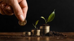 Panduan Investasi Pemula: Rekomendasi, Risiko, dan Cara Mulai