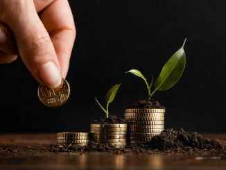 Panduan Investasi Pemula: Rekomendasi, Risiko, dan Cara Mulai