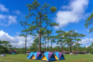 tempat camping di lembang murah