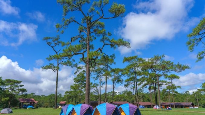 tempat camping di lembang murah