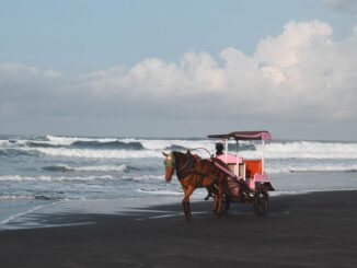 Rekomendasi Destinasi Alam Jogja