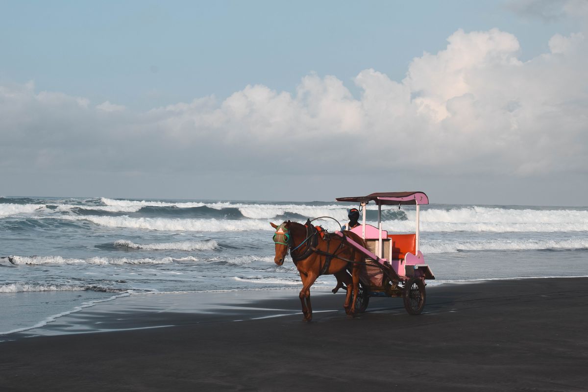 Rekomendasi Destinasi Alam Jogja